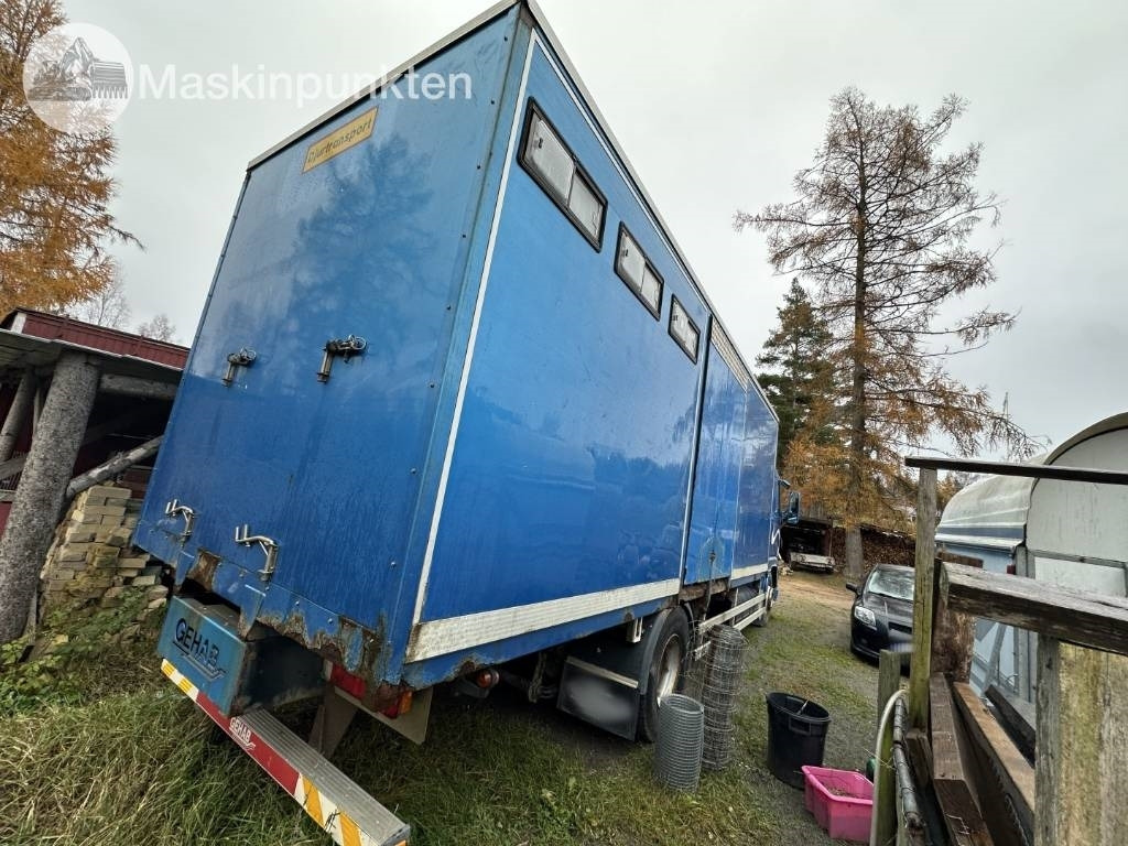 Volvo FH 12 - شاحنة نقل المواشي: صورة 4 Volvo FH 12 - شاحنة نقل المواشي: صورة 4