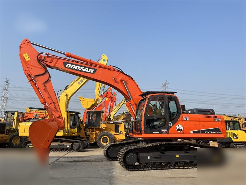 DOOSAN DX300 LC-9C - حفار زحاف: صورة 1 DOOSAN DX300 LC-9C - حفار زحاف: صورة 1