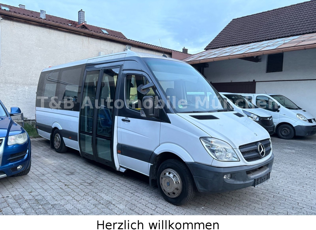 Mercedes-Benz Sprinter 516 CDI*Reisebus*Panorama*Retarder* - مركبة كوتش: صورة 3 Mercedes-Benz Sprinter 516 CDI*Reisebus*Panorama*Retarder* - مركبة كوتش: صورة 3