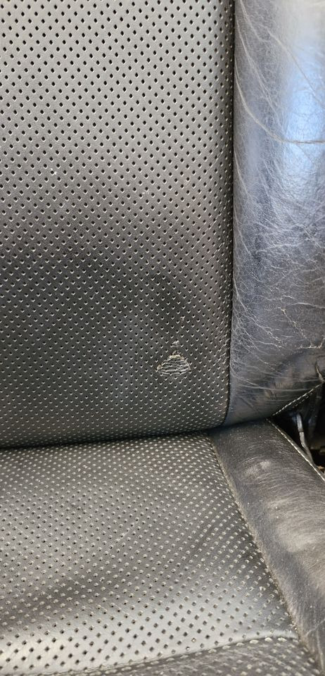 SCANIA R S FOTEL PASAŻERA - مقعد: صورة 5 SCANIA R S FOTEL PASAŻERA - مقعد: صورة 5