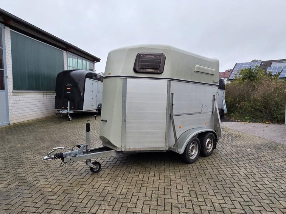 Böckmann, Pferdeanhänger, Champion, 100 km/h - عربة نقل خيل: صورة 3 Böckmann, Pferdeanhänger, Champion, 100 km/h - عربة نقل خيل: صورة 3