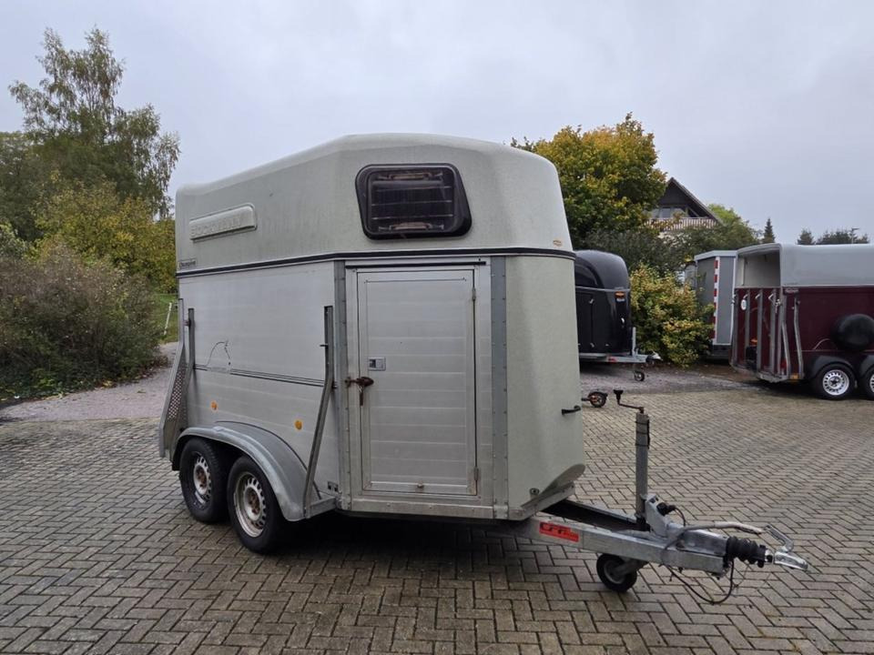 Böckmann, Pferdeanhänger, Champion, 100 km/h - عربة نقل خيل: صورة 2 Böckmann, Pferdeanhänger, Champion, 100 km/h - عربة نقل خيل: صورة 2