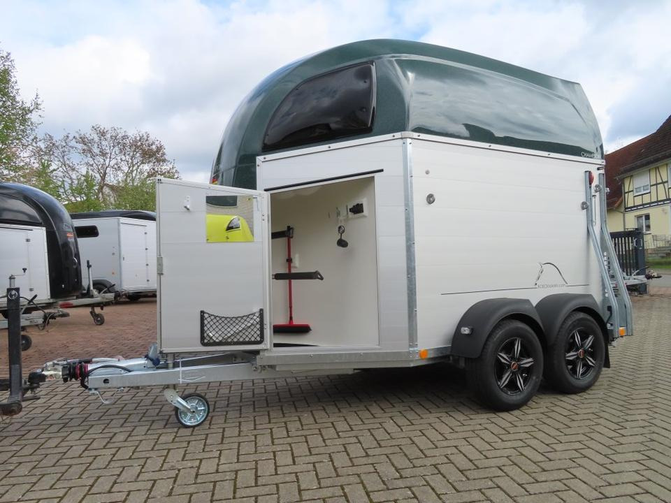 Böckmann Pferdeanhänger Champion R Flügeltür Saka. 100km/h - عربة نقل خيل: صورة 5 Böckmann Pferdeanhänger Champion R Flügeltür Saka. 100km/h - عربة نقل خيل: صورة 5