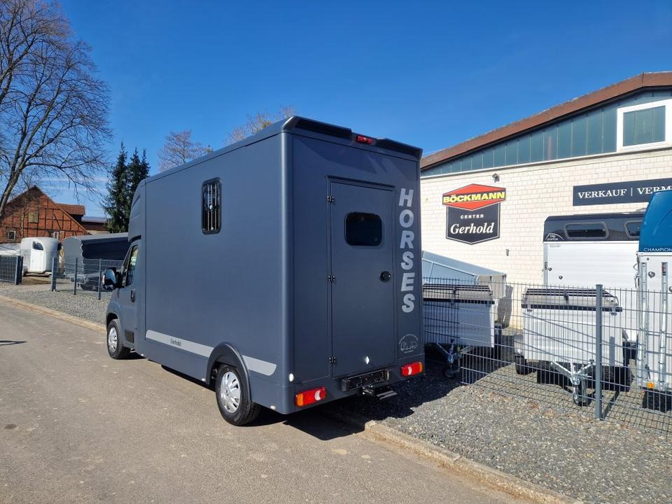 MSG Stablehopper Pferdetransporter Pferdeanhänger Böckmann - شاحنة نقل خيل: صورة 4 MSG Stablehopper Pferdetransporter Pferdeanhänger Böckmann - شاحنة نقل خيل: صورة 4