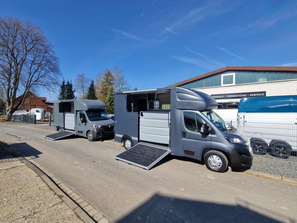 MSG Stablehopper Pferdetransporter Pferdeanhänger Böckmann - شاحنة نقل خيل: صورة 1 MSG Stablehopper Pferdetransporter Pferdeanhänger Böckmann - شاحنة نقل خيل: صورة 1