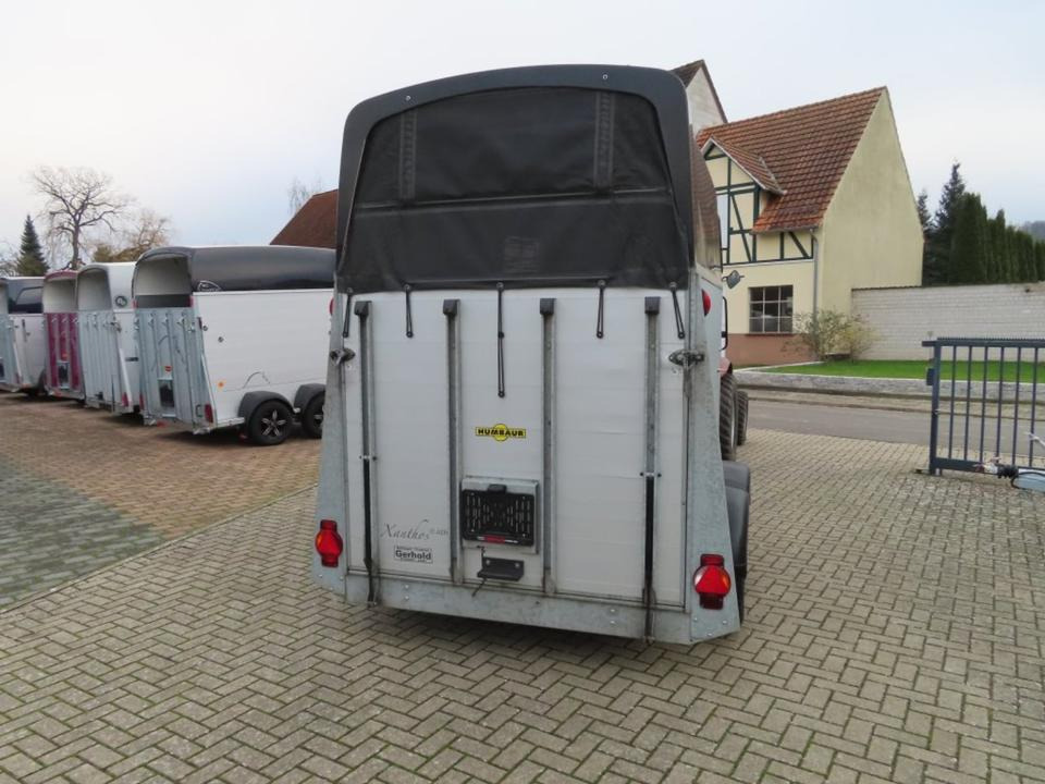 Pferdeanhänger Humbaur, Xanthos Aero, 100 km/h Sattelkammer - عربة نقل خيل: صورة 4 Pferdeanhänger Humbaur, Xanthos Aero, 100 km/h Sattelkammer - عربة نقل خيل: صورة 4