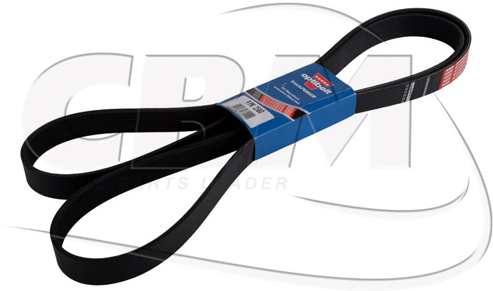 DAYCO BELT - KASSBOHRER DAF IRISBUS - IVECO - RVI (8311000859 | 1518746 | 1160281 | 7701003456) - حزام - حافلة: صورة 1 DAYCO BELT - KASSBOHRER DAF IRISBUS - IVECO - RVI (8311000859 | 1518746 | 1160281 | 7701003456) - حزام - حافلة: صورة 1