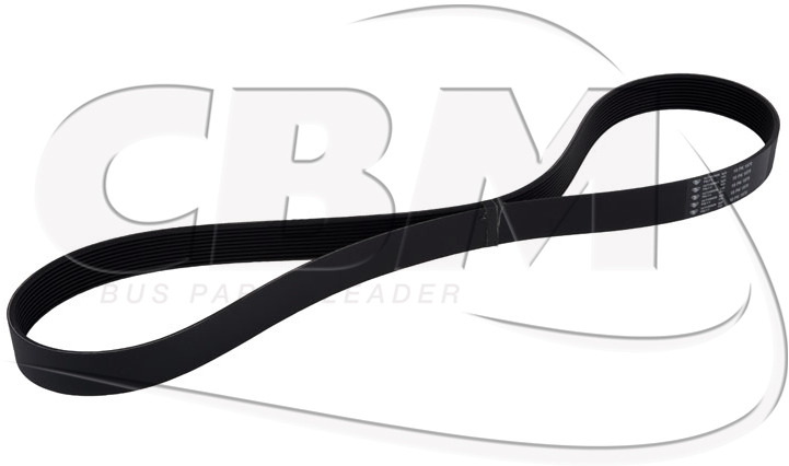 HUTCHINSON ALTERNATOR BELT - MERCEDES MAN (A0003531720 | 81351070056) - حزام - حافلة: صورة 1 HUTCHINSON ALTERNATOR BELT - MERCEDES MAN (A0003531720 | 81351070056) - حزام - حافلة: صورة 1
