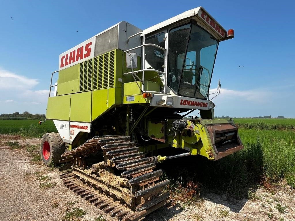 Claas COMMANDOR 116 CS RISO - حصادة موحَّدة: صورة 1 Claas COMMANDOR 116 CS RISO - حصادة موحَّدة: صورة 1
