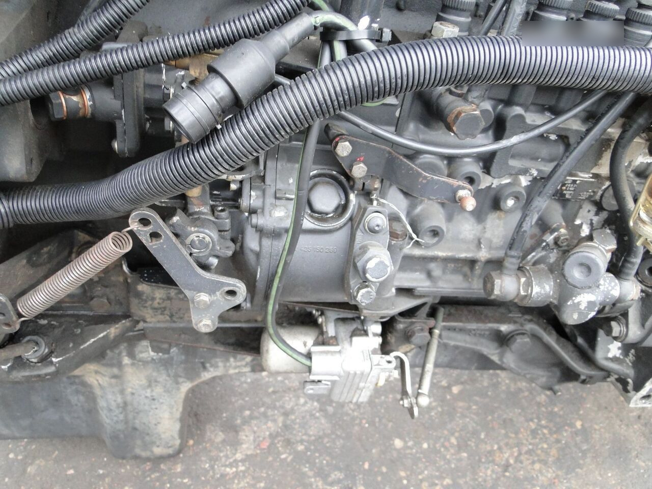 MAN D2865 LF05 MAN F90, F2000 - محرك - شاحنة: صورة 4 MAN D2865 LF05 MAN F90, F2000 - محرك - شاحنة: صورة 4