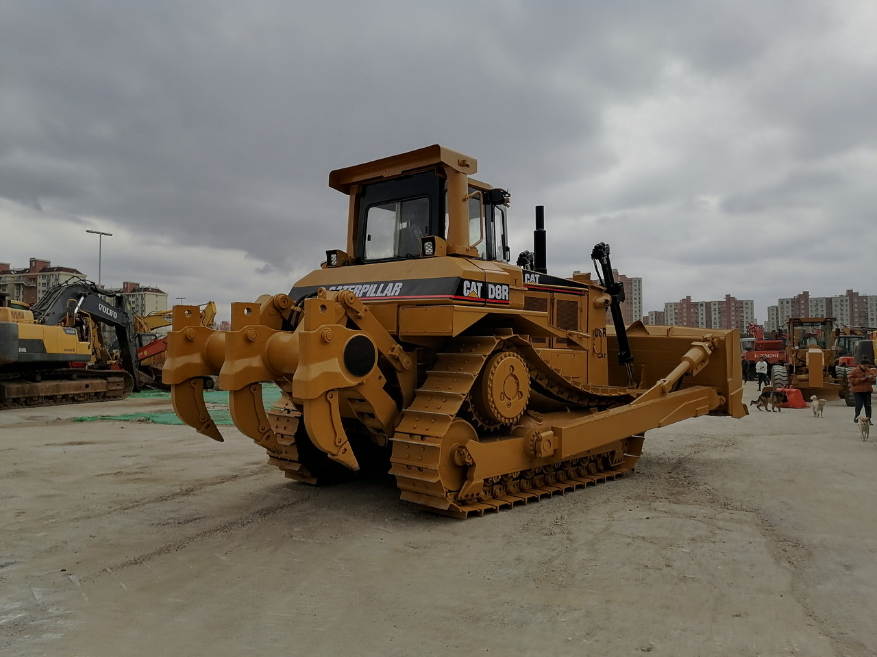 CATERPILLAR D8R Bulldozer Click for Discount - جرافة: صورة 3 CATERPILLAR D8R Bulldozer Click for Discount - جرافة: صورة 3