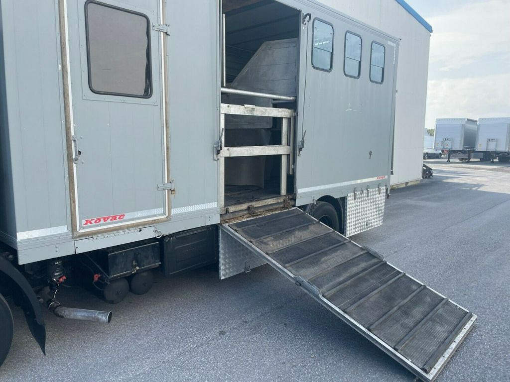 شاحنة نقل خيل MAN 12.192 Pferdetransporter MAN 12.192 Pferdetransporter: صورة 13