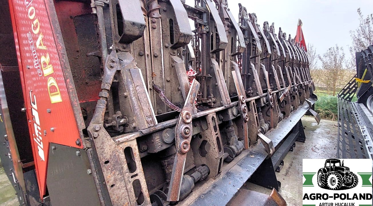 OLIMAC DRAGO S 8 TR - 8X70 - 2014 ROK - حصادة الذرة: صورة 1 OLIMAC DRAGO S 8 TR - 8X70 - 2014 ROK - حصادة الذرة: صورة 1