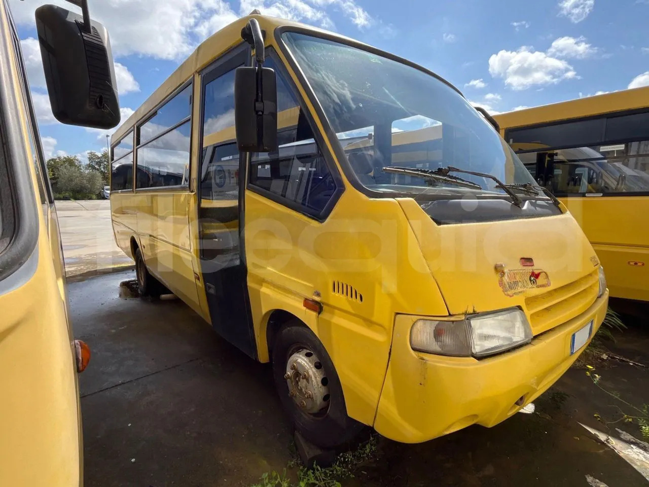 Iveco Cacciamali - حافلة مدرسية: صورة 2 Iveco Cacciamali - حافلة مدرسية: صورة 2