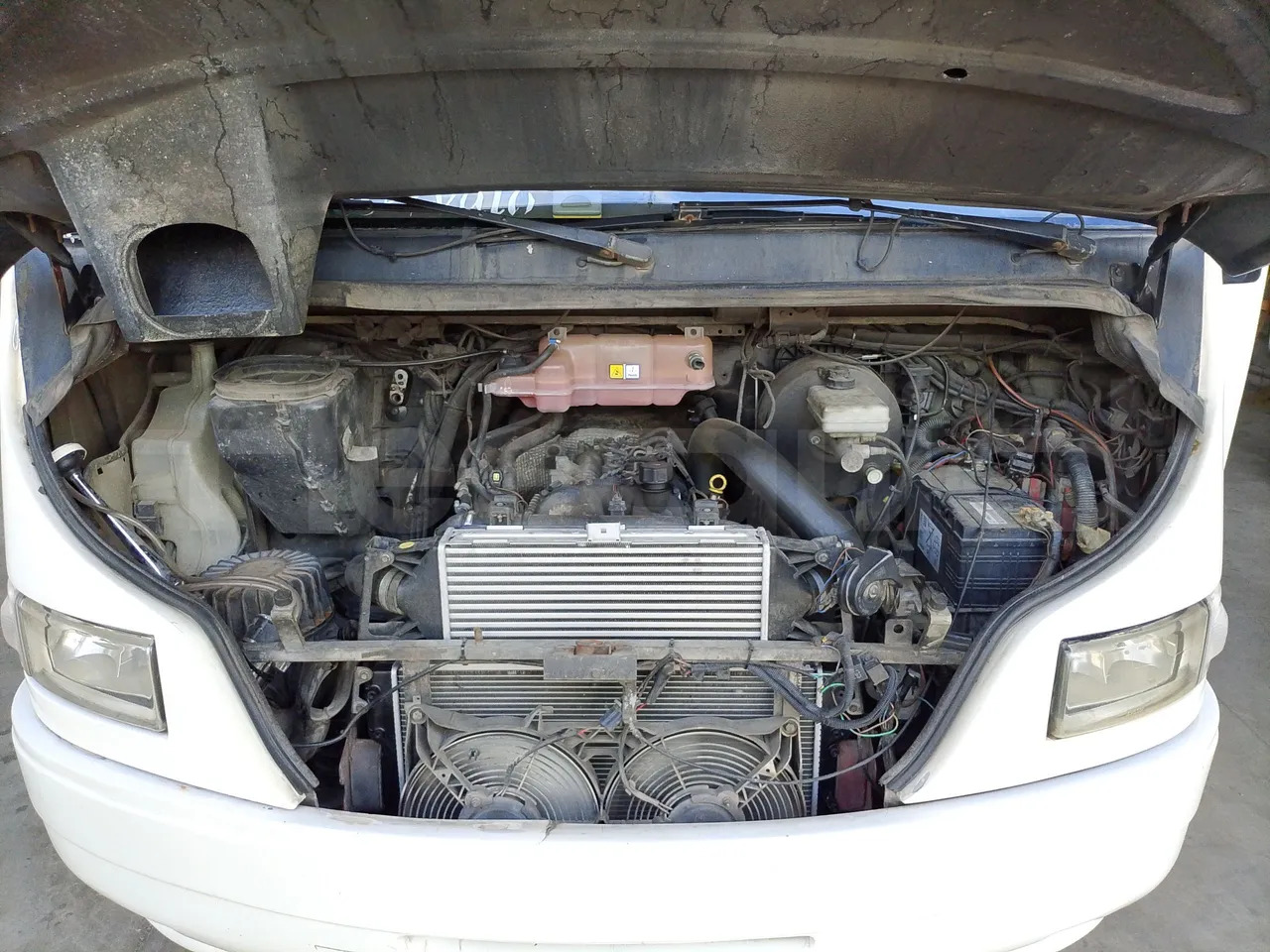 مركبة كوتش Iveco Daily: صورة 20 مركبة كوتش Iveco Daily: صورة 20