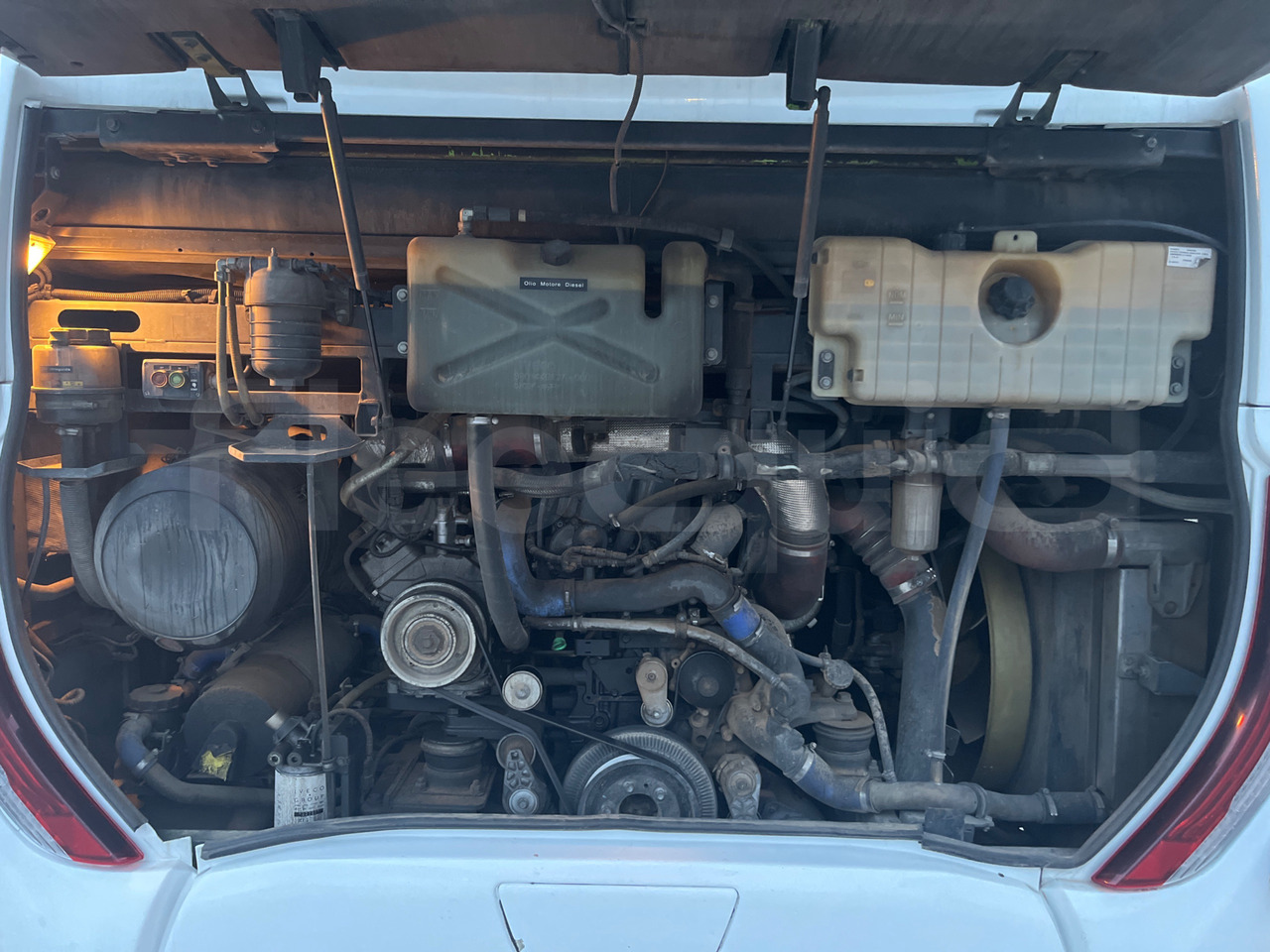 مركبة كوتش Iveco Magelys: صورة 20