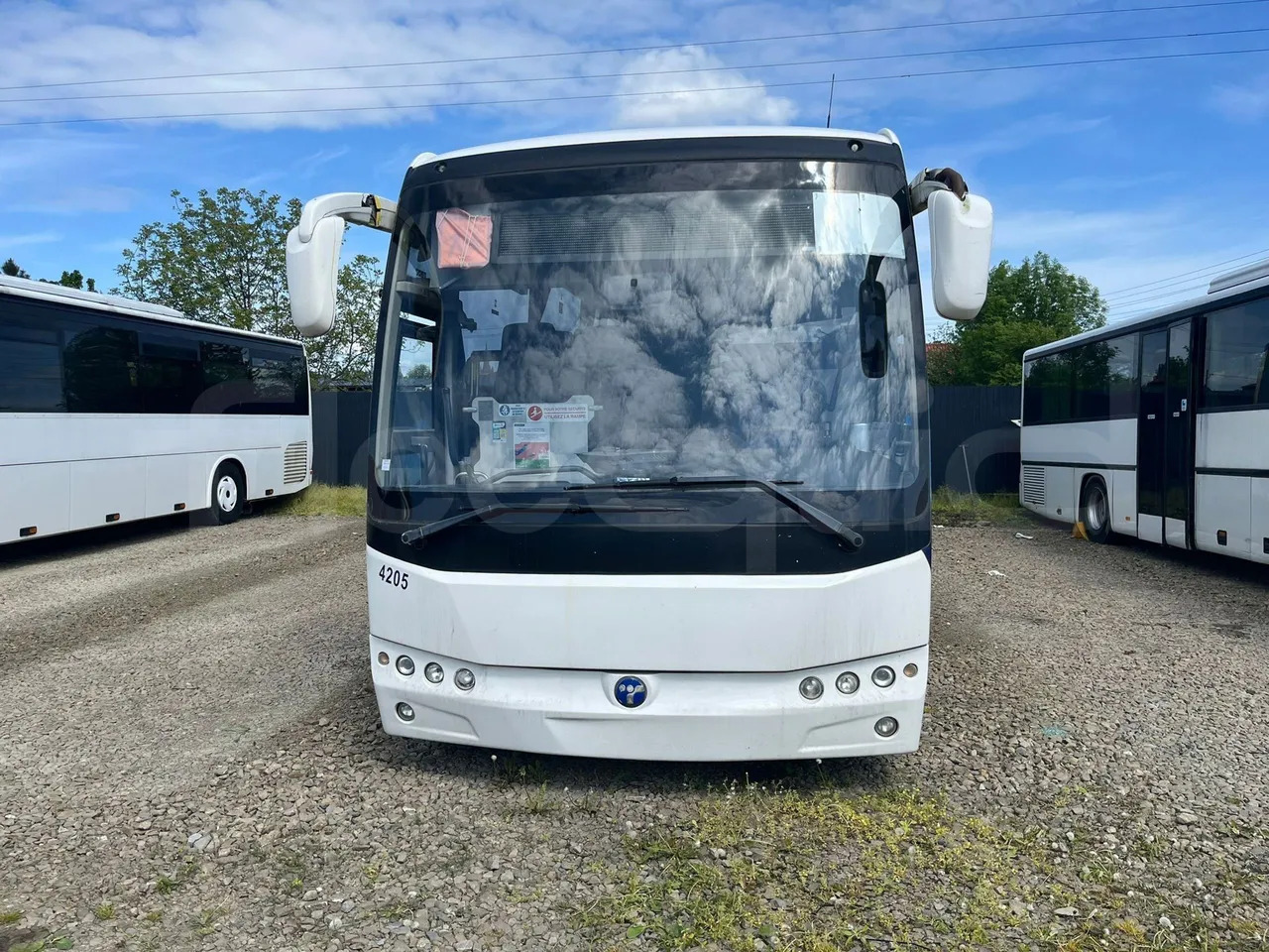 Temsa Safari - حافلة سوبربان: صورة 1 Temsa Safari - حافلة سوبربان: صورة 1