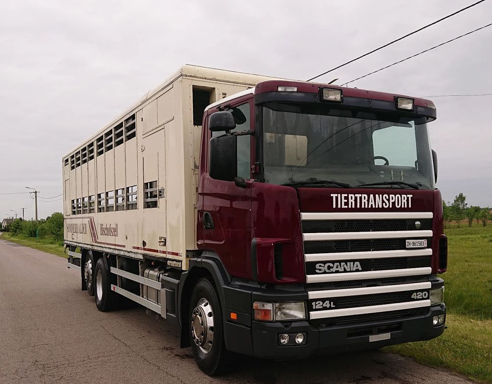 Scania 124 420 Do żywca - شاحنة نقل المواشي: صورة 3 Scania 124 420 Do żywca - شاحنة نقل المواشي: صورة 3