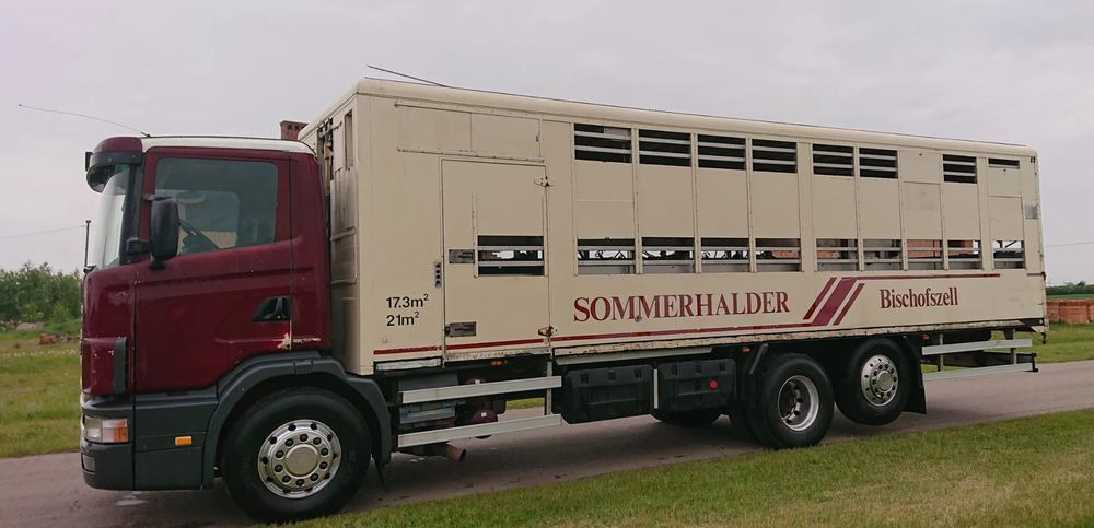 Scania 124 420 Do żywca - شاحنة نقل المواشي: صورة 5 Scania 124 420 Do żywca - شاحنة نقل المواشي: صورة 5