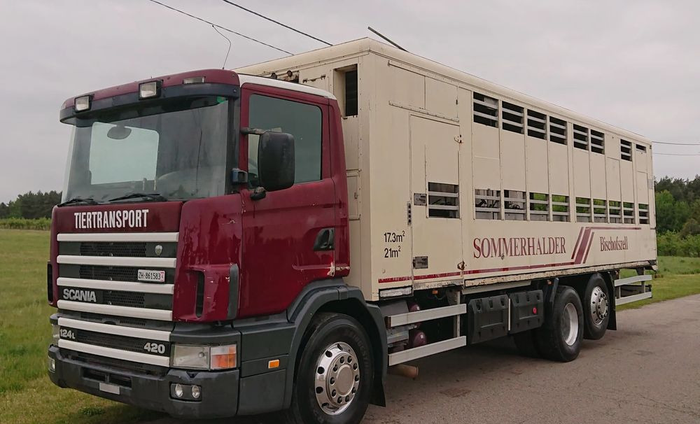 Scania 124 420 Do żywca - شاحنة نقل المواشي: صورة 1 Scania 124 420 Do żywca - شاحنة نقل المواشي: صورة 1