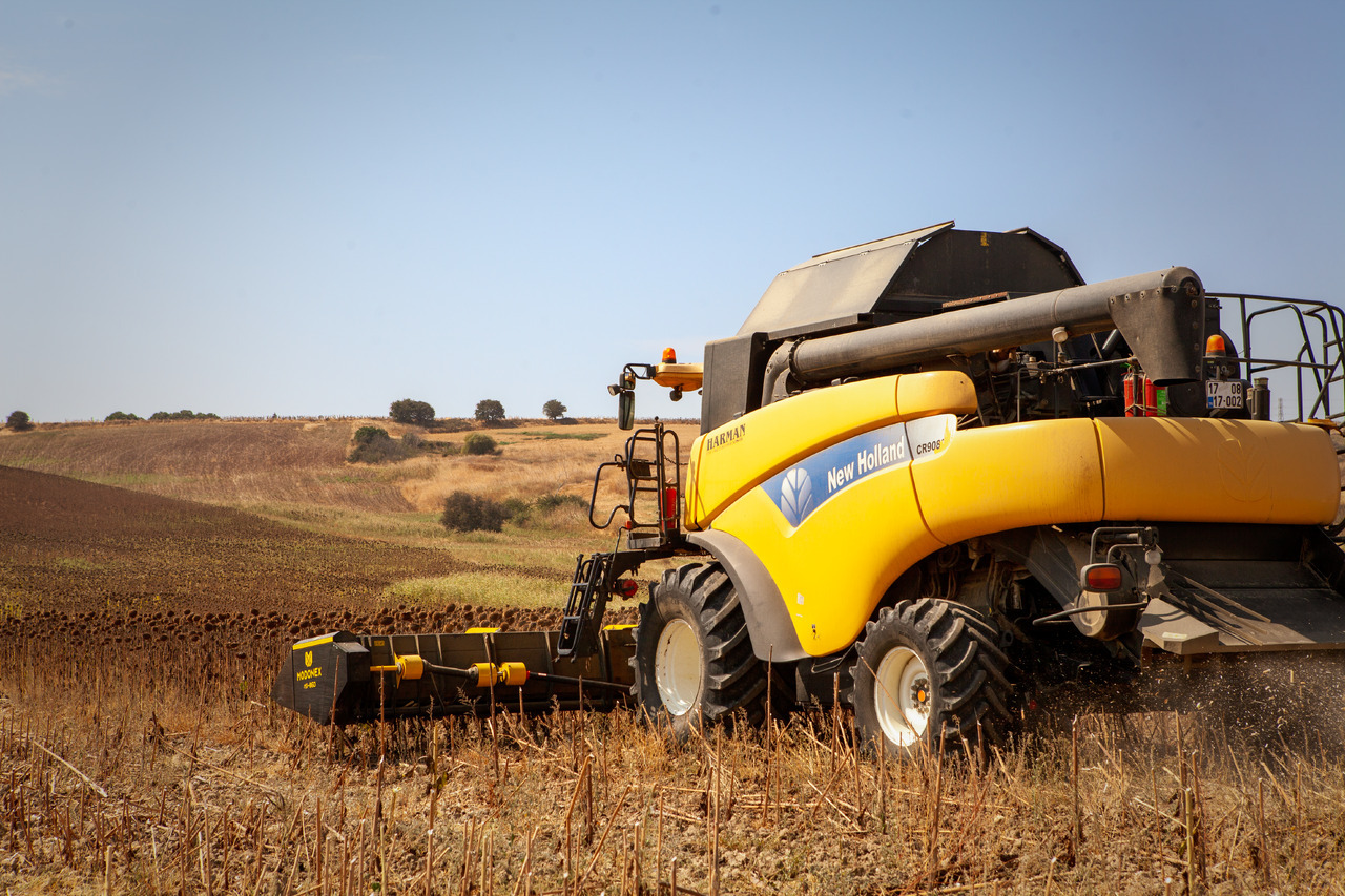 Modonex MX-630 - حصادة عباد الشمس: صورة 3 Modonex MX-630 - حصادة عباد الشمس: صورة 3