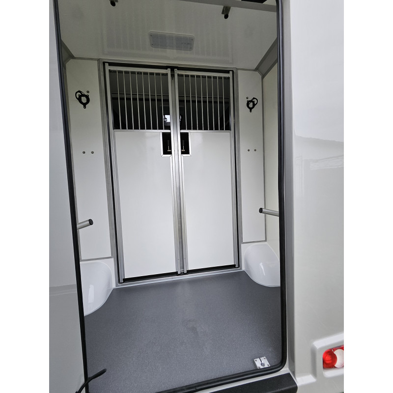 Opel Movano AKX by Stephex - شاحنة نقل خيل: صورة 4 Opel Movano AKX by Stephex - شاحنة نقل خيل: صورة 4