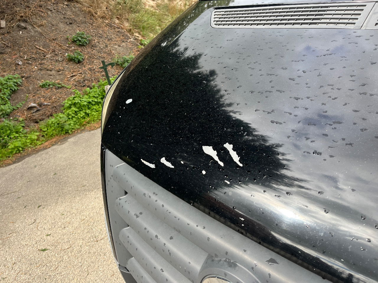 Volkswagen Crafter - فان: صورة 5 Volkswagen Crafter - فان: صورة 5