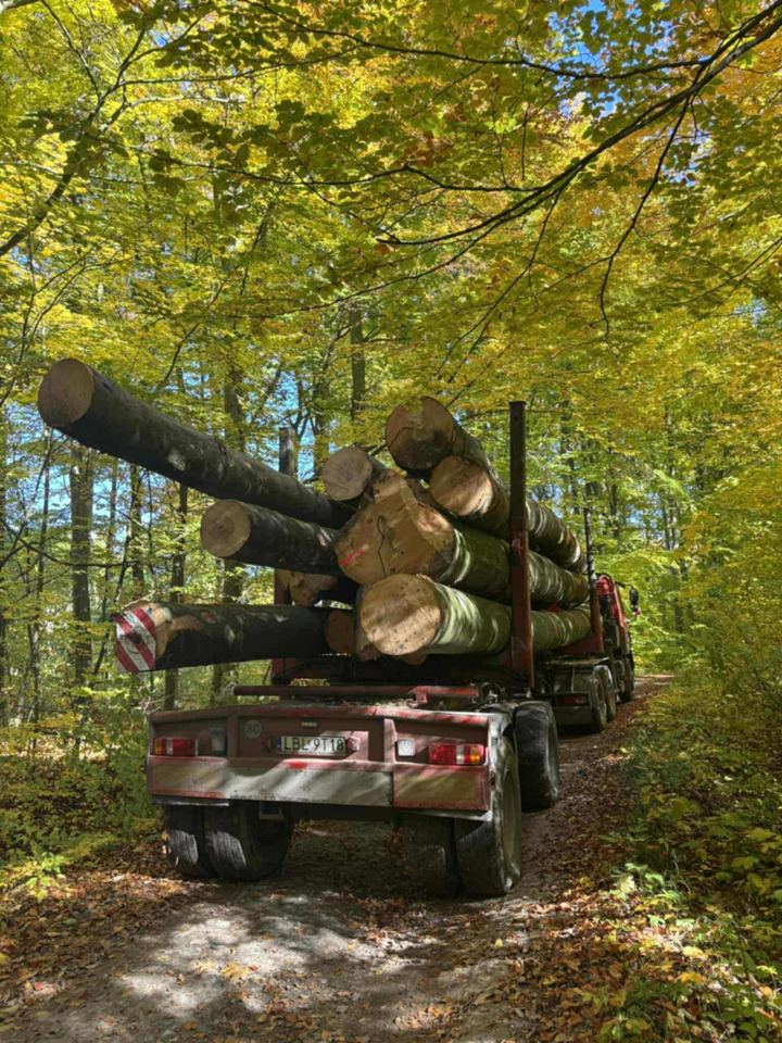 DAF CF510 - شاحنة قطع الأشجار, شاحنة كرين: صورة 3 DAF CF510 - شاحنة قطع الأشجار, شاحنة كرين: صورة 3