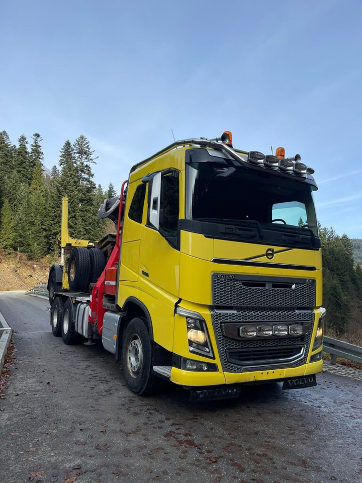 VOLVO FH16 650 - وحدة جر, مقطورة اخشاب: صورة 3 VOLVO FH16 650 - وحدة جر, مقطورة اخشاب: صورة 3