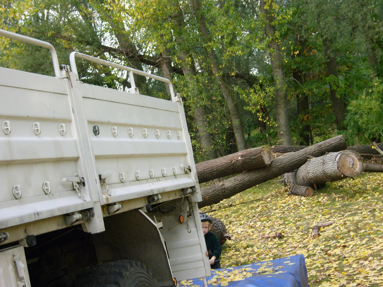 شاحنات مسطحة MAN Kat 1 Kat1 4x4 from  low mileage: صورة 10