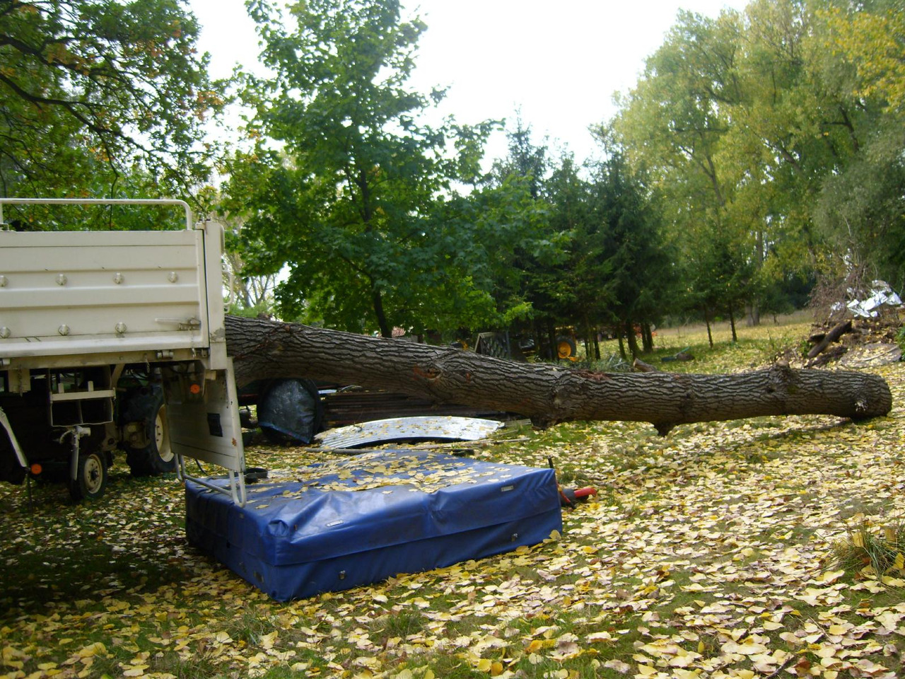 شاحنات مسطحة MAN Kat 1 Kat1 4x4 from  low mileage: صورة 15