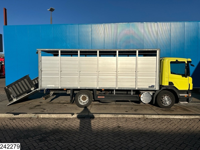 شاحنة نقل المواشي Scania P 320 EURO 5, Manual transmission, Retarder: صورة 12 شاحنة نقل المواشي Scania P 320 EURO 5, Manual transmission, Retarder: صورة 12