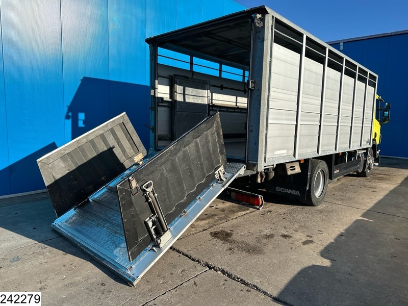 Scania P 320 EURO 5, Manual transmission, Retarder - شاحنة نقل المواشي: صورة 4 Scania P 320 EURO 5, Manual transmission, Retarder - شاحنة نقل المواشي: صورة 4