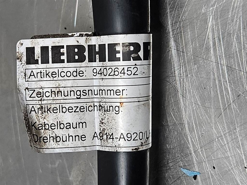 Liebherr LH24M-94009626-Sicherungskasten/Zekeringkast Liebherr LH24M-94009626-Sicherungskasten/Zekeringkast: صورة 9