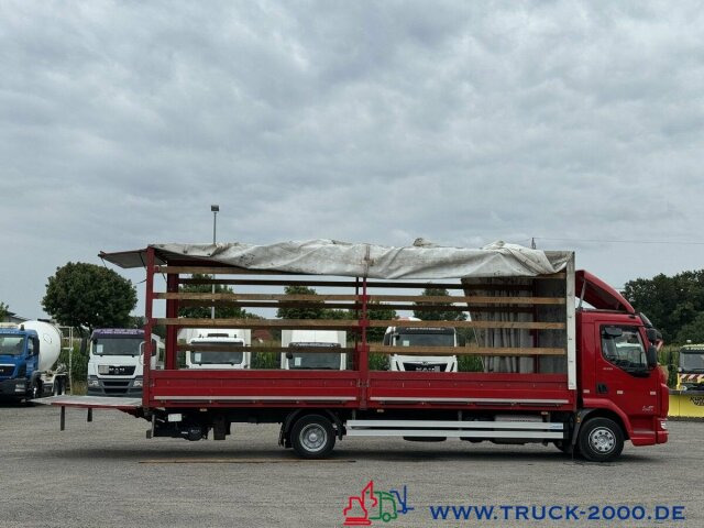 DAF LF220 Plane Spriegel Ladebordwand BÄR 1.500 Kg - شاحنة ستارة: صورة 3 DAF LF220 Plane Spriegel Ladebordwand BÄR 1.500 Kg - شاحنة ستارة: صورة 3