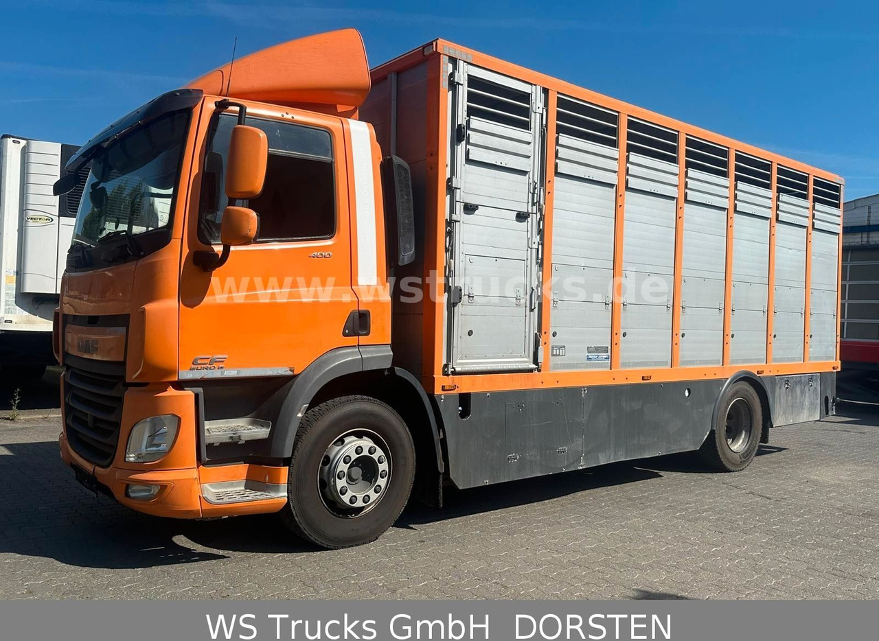DAF CF 400 Menke Einstock - شاحنة نقل خيل: صورة 1 DAF CF 400 Menke Einstock - شاحنة نقل خيل: صورة 1