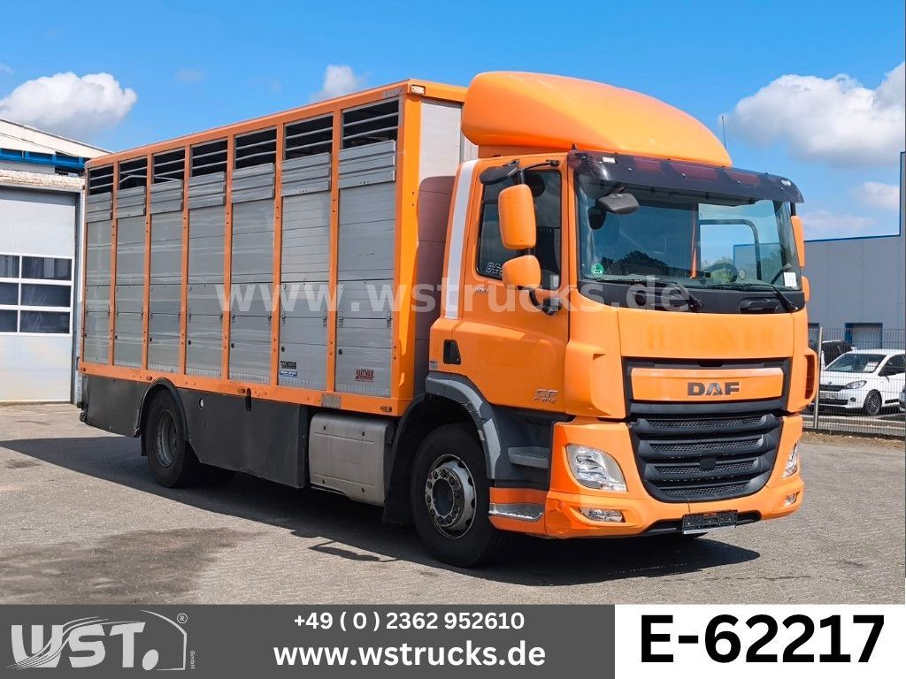 DAF CF 400 Menke Einstock - شاحنة نقل خيل: صورة 1 DAF CF 400 Menke Einstock - شاحنة نقل خيل: صورة 1