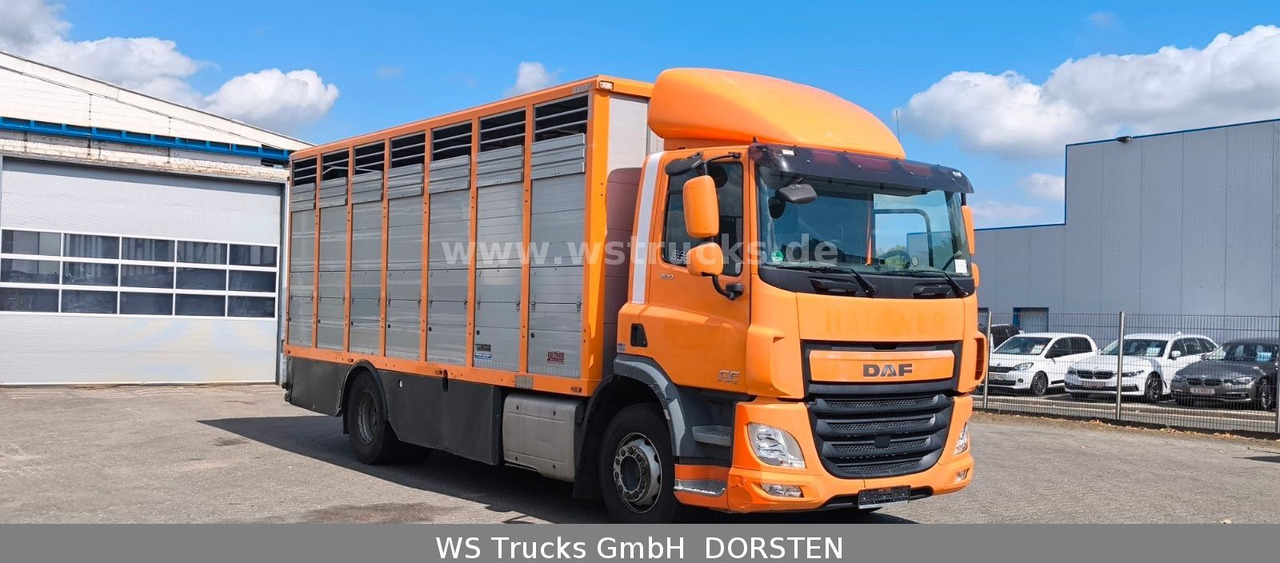 DAF CF 400 Menke Einstock - شاحنة نقل خيل: صورة 4 DAF CF 400 Menke Einstock - شاحنة نقل خيل: صورة 4