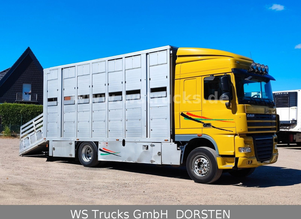 DAF XF 410 SC Menke Doppelstock - شاحنة نقل خيل: صورة 5 DAF XF 410 SC Menke Doppelstock - شاحنة نقل خيل: صورة 5