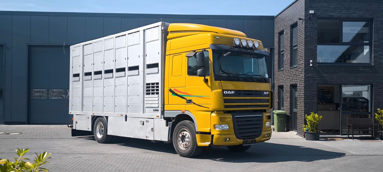 DAF XF 410 SC Menke Doppelstock - شاحنة نقل خيل: صورة 2 DAF XF 410 SC Menke Doppelstock - شاحنة نقل خيل: صورة 2