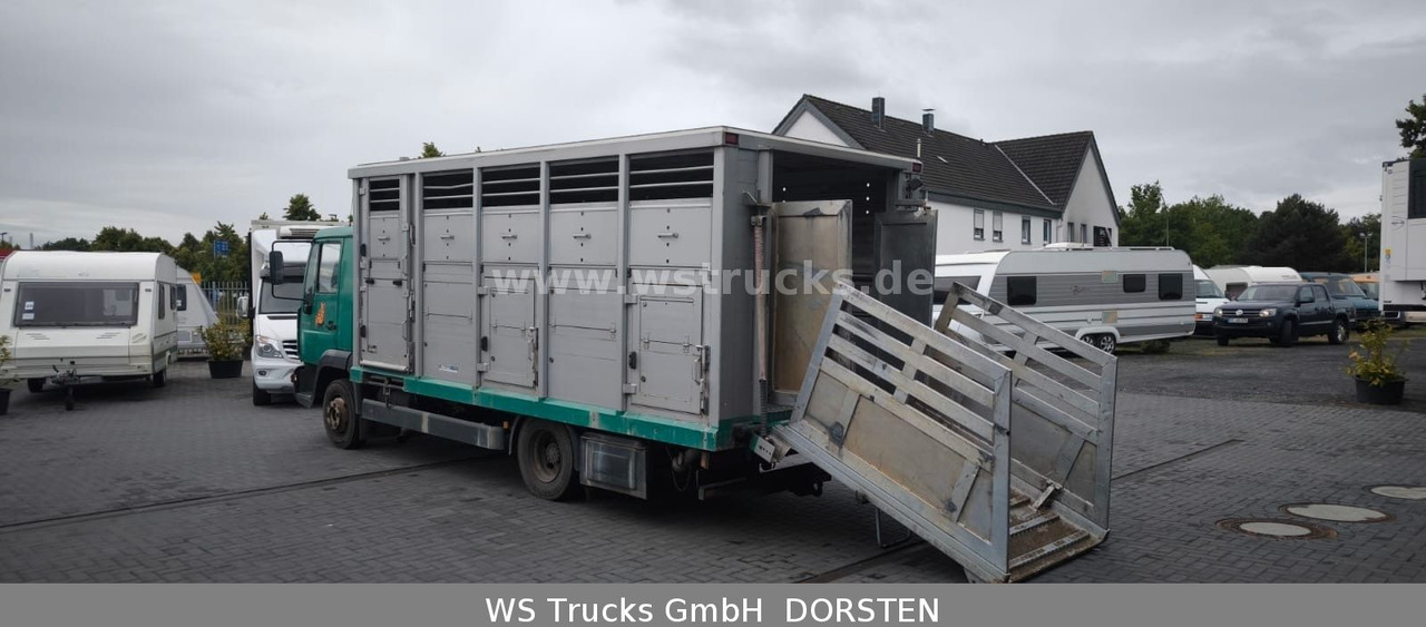 MAN LE 8.220 Menke Einstock Großvieh - شاحنة نقل المواشي: صورة 3 MAN LE 8.220 Menke Einstock Großvieh - شاحنة نقل المواشي: صورة 3