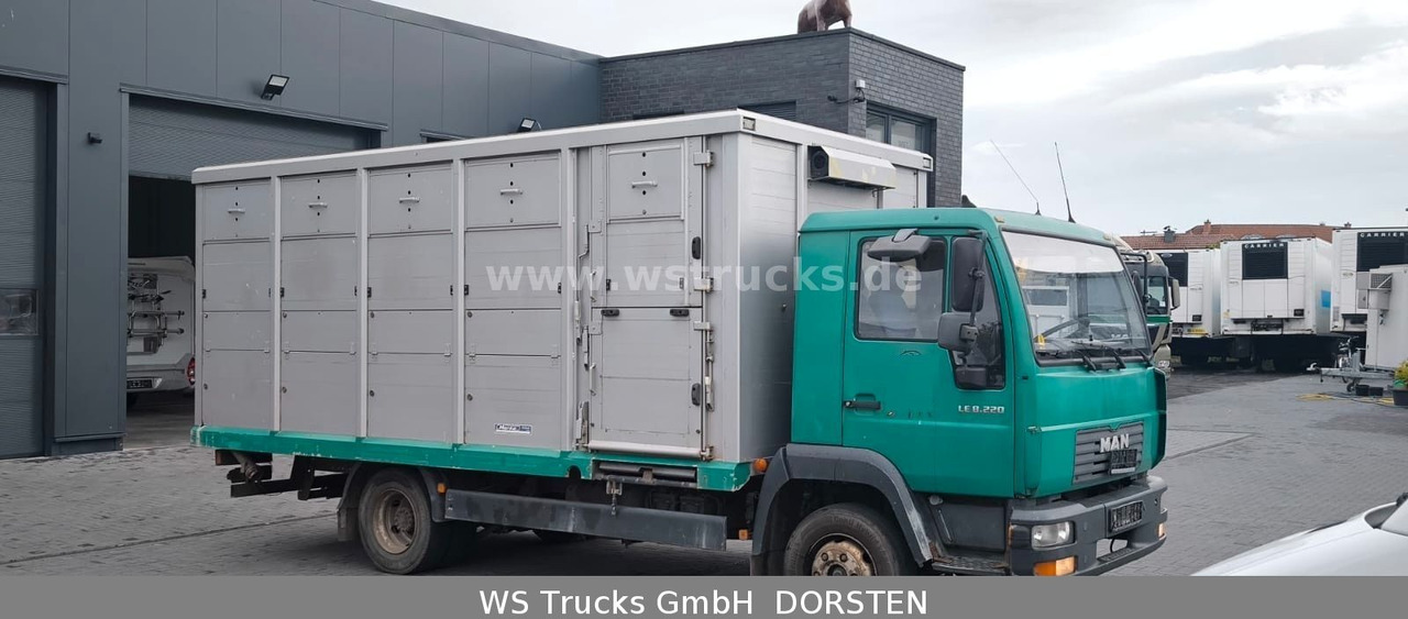 MAN LE 8.220 Menke Einstock Großvieh - شاحنة نقل المواشي: صورة 2 MAN LE 8.220 Menke Einstock Großvieh - شاحنة نقل المواشي: صورة 2