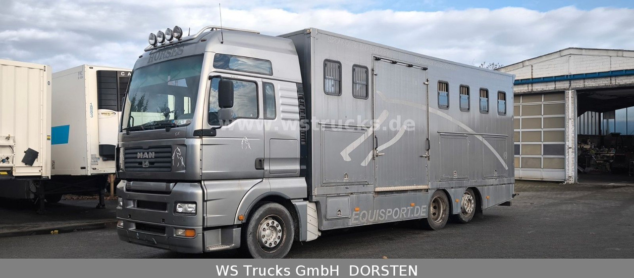 MAN TGA 26.480 FG 6x2 Pferdetransporter Luft/Luft - شاحنة نقل خيل: صورة 2 MAN TGA 26.480 FG 6x2 Pferdetransporter Luft/Luft - شاحنة نقل خيل: صورة 2