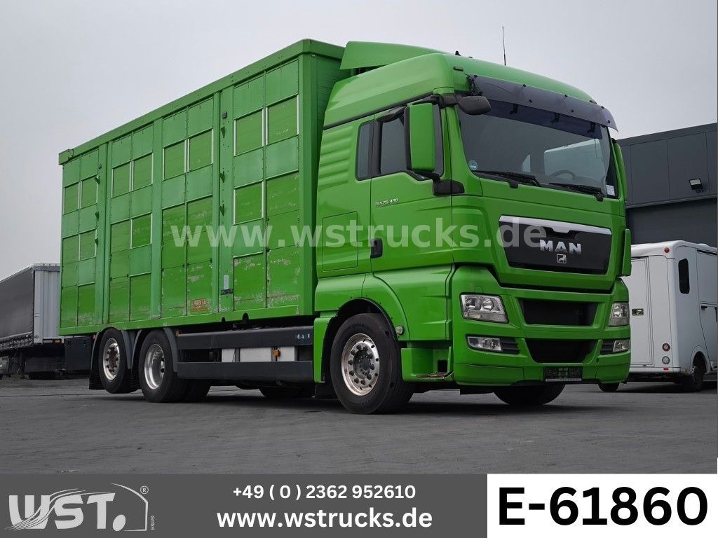 MAN TGX 26.480 XL KABA 3 Stock Vollalu - شاحنة نقل خيل: صورة 1 MAN TGX 26.480 XL KABA 3 Stock Vollalu - شاحنة نقل خيل: صورة 1