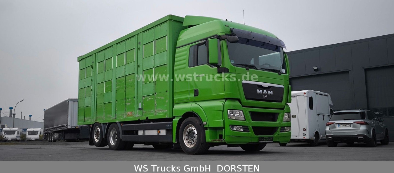 MAN TGX 26.480 XL KABA 3 Stock Vollalu - شاحنة نقل المواشي: صورة 4 MAN TGX 26.480 XL KABA 3 Stock Vollalu - شاحنة نقل المواشي: صورة 4