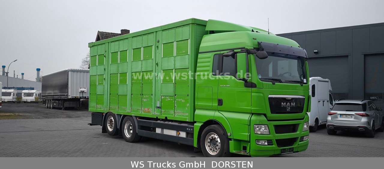 MAN TGX 26.480 XL KABA 3 Stock Vollalu - شاحنة نقل خيل: صورة 3 MAN TGX 26.480 XL KABA 3 Stock Vollalu - شاحنة نقل خيل: صورة 3