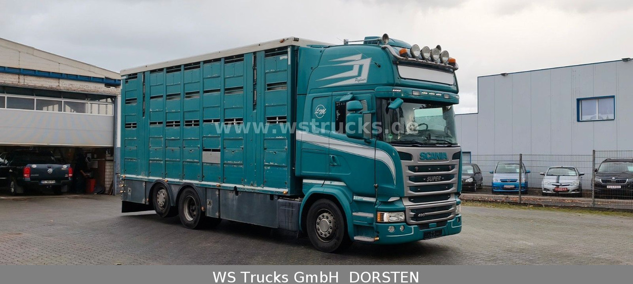 Scania R 490 Topline Menke 4 Stock Hubdach | Retader - شاحنة نقل خيل: صورة 2 Scania R 490 Topline Menke 4 Stock Hubdach | Retader - شاحنة نقل خيل: صورة 2