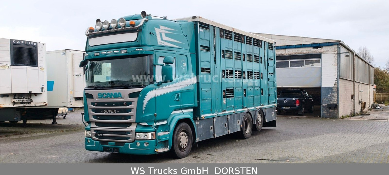 Scania R 490 Topline Menke 4 Stock Hubdach | Retader - شاحنة نقل خيل: صورة 1 Scania R 490 Topline Menke 4 Stock Hubdach | Retader - شاحنة نقل خيل: صورة 1