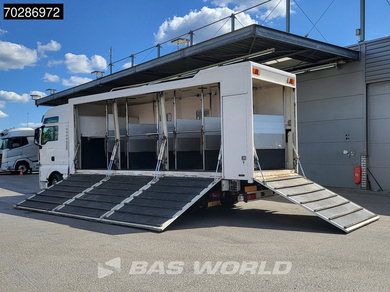 MAN TGX 26.480 TGX 6X2 NL-Truck BDF HorseTransport Lift+steering axle Standklima Automatic Xenon Alcoa´s Euro 5 - شاحنات الحاويات / جسم علوي قابل للتغيير شاحنة: صورة 2 MAN TGX 26.480 TGX 6X2 NL-Truck BDF HorseTransport Lift+steering axle Standklima Automatic Xenon Alcoa´s Euro 5 - شاحنات الحاويات / جسم علوي قابل للتغيير شاحنة: صورة 2