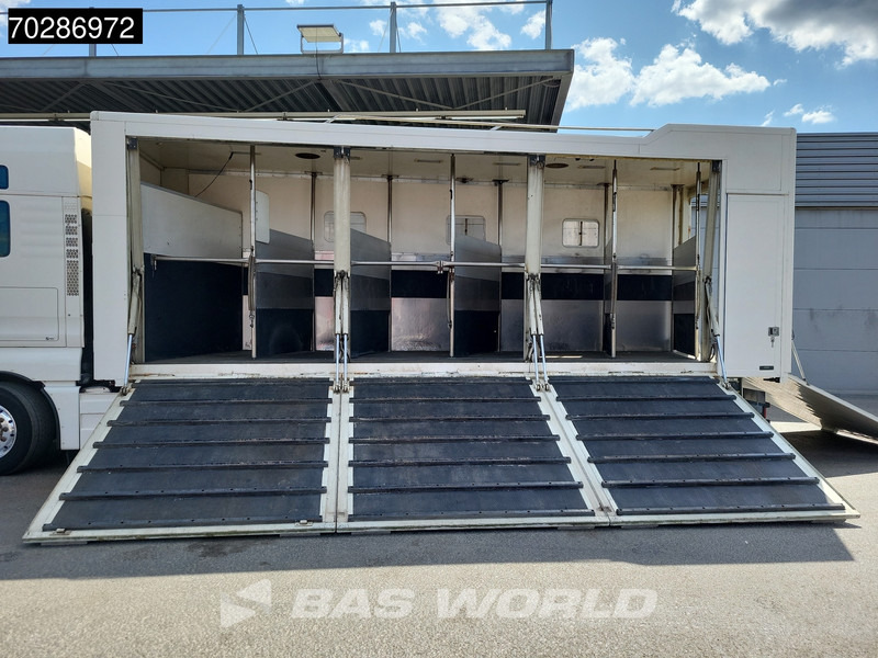 MAN TGX 26.480 TGX 6X2 NL-Truck BDF HorseTransport Lift+steering axle Standklima Automatic Xenon Alcoa´s Euro 5 - شاحنات الحاويات / جسم علوي قابل للتغيير شاحنة: صورة 3 MAN TGX 26.480 TGX 6X2 NL-Truck BDF HorseTransport Lift+steering axle Standklima Automatic Xenon Alcoa´s Euro 5 - شاحنات الحاويات / جسم علوي قابل للتغيير شاحنة: صورة 3